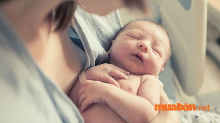 Bé sinh vào giờ Sửu trong năm Thìn sẽ được quý nhân che chở và giúp đỡ trong suốt cuộc đời.