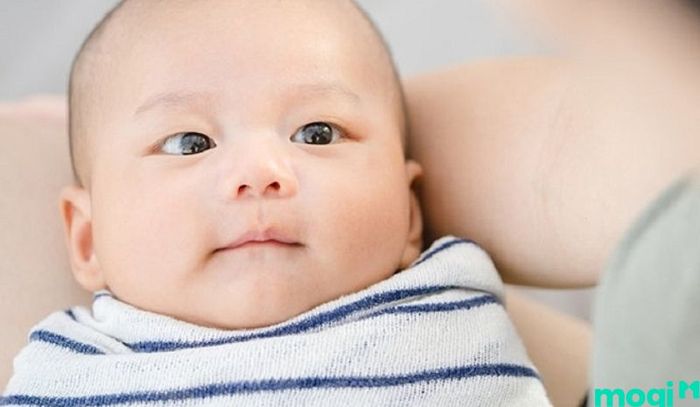 Mắt 1 mí là gì – Vận mệnh của nam và nữ sở hữu đôi mắt 1 mí có sự khác biệt như thế nào?