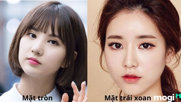 So sánh giữa mặt trái xoan và mặt tròn