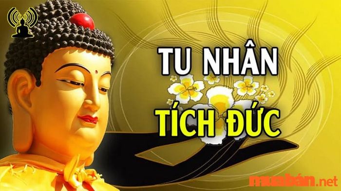 Tử vi Quý Sửu 1973 nam mạng năm 2024 cho thấy việc tu dưỡng nhân cách và hành thiện sẽ giúp bạn hóa giải phần nào những khó khăn do sao hạn Địa Võng mang lại.