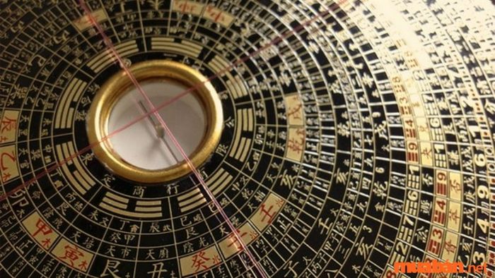 Tìm hiểu về khái niệm và năm sinh của cung Chấn