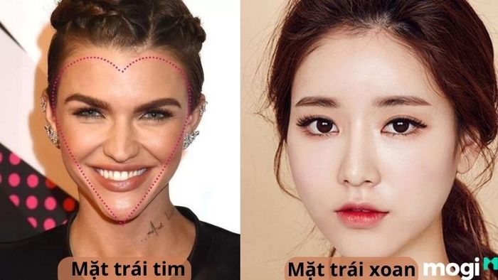 So sánh giữa mặt trái xoan và mặt trái tim