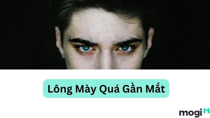 Tướng lông mày quá gần mắt thường thấy ở những người nóng tính, dễ nảy sinh xung đột và khó có thể thành công trong công việc hay cuộc sống. Họ thường thiếu kiên nhẫn và dễ bỏ cuộc.