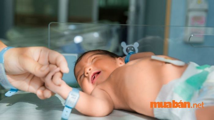 Trẻ sinh vào giờ Tỵ trong năm Thìn dễ gặp khó khăn trong chuyện tình cảm