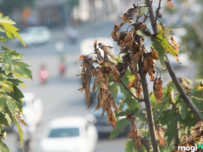 Phong thủy trước cửa nhà ảnh hưởng lớn đến tài lộc và sức khỏe của gia đình.