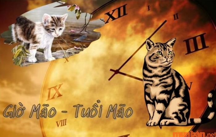Những người sinh vào năm Mão và cũng thuộc giờ Mão sẽ có vận mệnh ra sao? Liệu họ có những đặc điểm gì nổi bật?