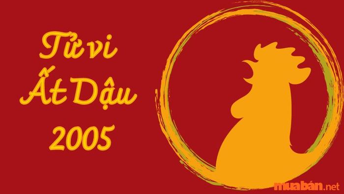 Tử vi Ất Dậu sinh năm 2005