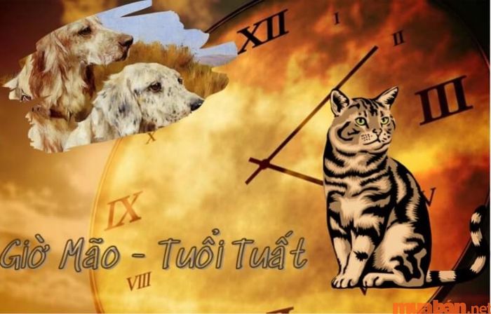 Người tuổi Tuất sinh giờ Mão là mấy giờ, vận mệnh như thế nào?