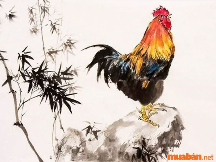 Người sinh vào giờ Hợi – Tuổi Dậu có vận mệnh và sự nghiệp tương đối ổn định, thường có nhiều cơ hội thành công.