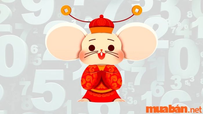 Tuổi Giáp Tý 1984 thuộc mệnh gì và hợp với những con số thuộc hành Kim, Thủy, Thổ?