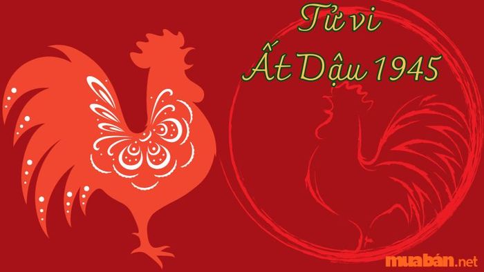 Tử vi tuổi Dậu 2024 theo tuổi nạp âm Ất Dậu sinh năm 1945