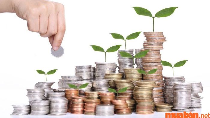 Năm 38 tuổi, nam tuổi Canh Thân sẽ gặp nhiều cơ hội thuận lợi trong công việc và tài chính, mang lại những nguồn thu nhập đáng kể.