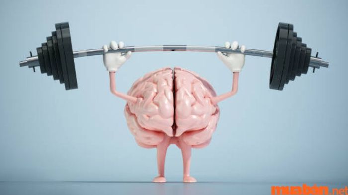 Chủng vân tay AU - Học hỏi nhanh, ghi nhớ xuất sắc