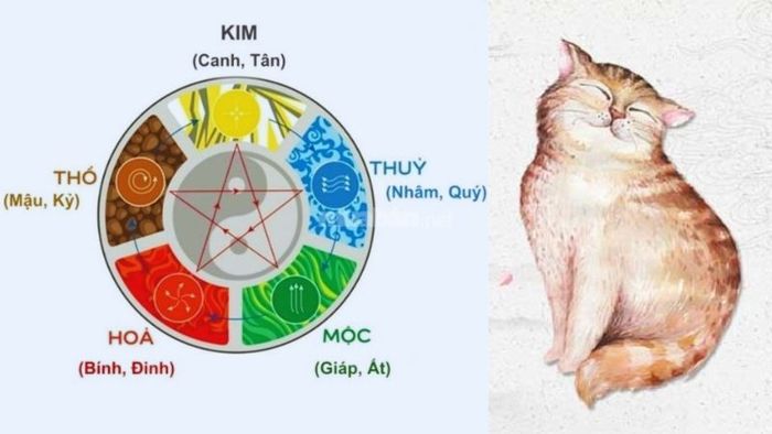 Tử vi nam mạng Quý Mão 1963 năm 2025 xét theo thiên can ngũ hành