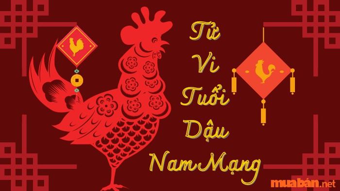 Tử vi tuổi Dậu nam mạng 2024: Những điều cần biết