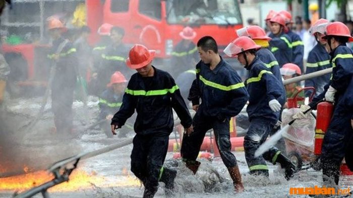 Mệnh Thổ hợp với nghề gì?