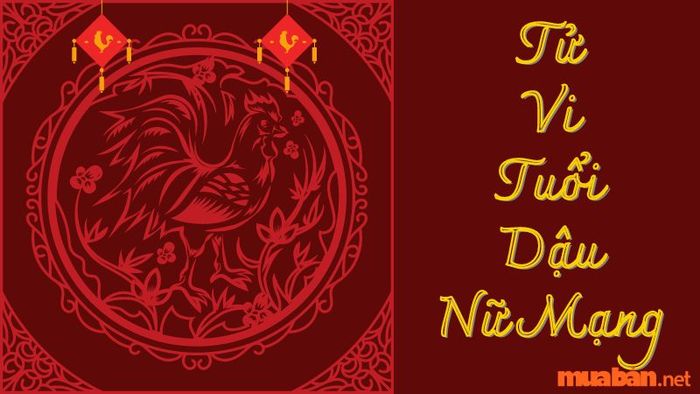 Tử vi tuổi Dậu nữ mạng 2024: Những điều cần tránh