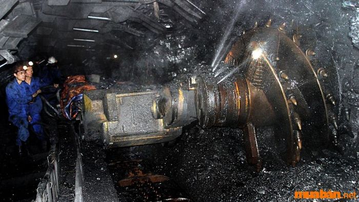 Mệnh Thổ phù hợp với nghề gì?