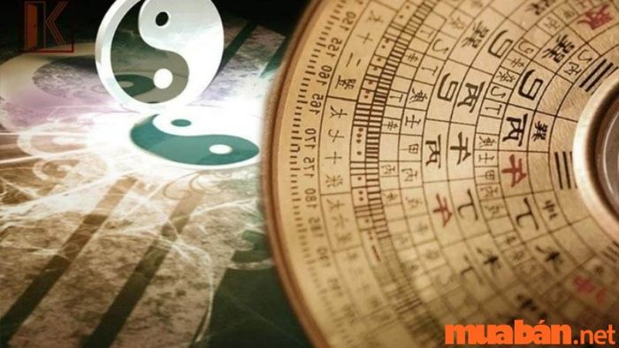 Nam và nữ sinh năm 1984 có mệnh và cung khác nhau.
