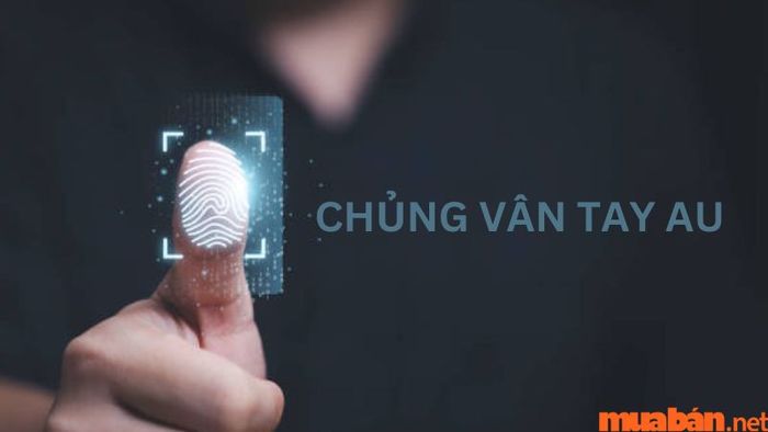 Cùng Mytour khám phá chủng vân tay AU và tìm hiểu ý nghĩa sâu xa của nó nhé!