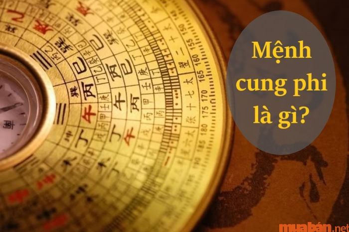 Việc tra cứu mệnh cung phi cũng là một phương pháp chính xác để biết được mệnh của bạn.