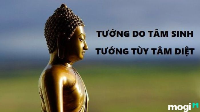 Tâm sinh tướng: Sự Kết Hợp Giữa Nội Tâm và Ngoại Hình