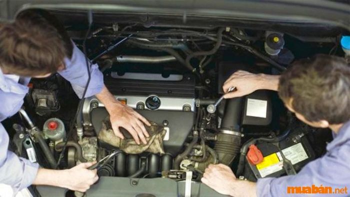 Mệnh thổ hợp nghề gì