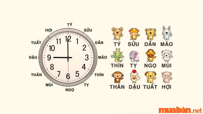 Giờ Mão là mấy giờ khi tính theo cách phân chia 12 con giáp trong ngày?