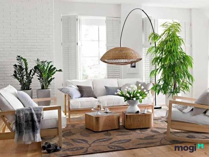 Trồng cây phong thủy để mang lại tài lộc và may mắn cho gia đình