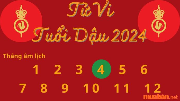 Tử vi tháng 4 âm lịch năm 2024 cho tuổi Dậu: Tốt