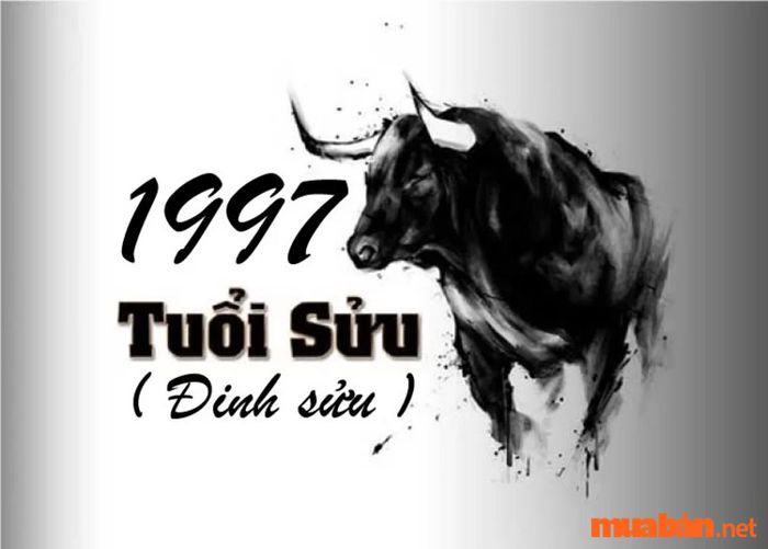 Màu sắc nào hợp với người tuổi Sửu?