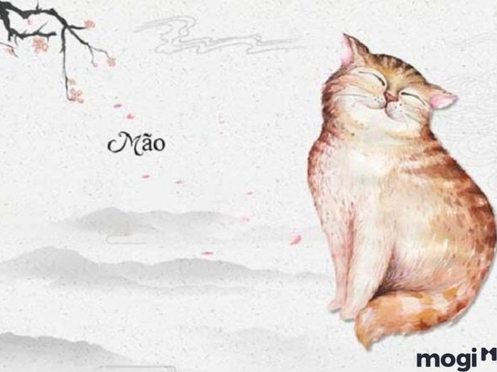 giờ hợi là mấy giờ