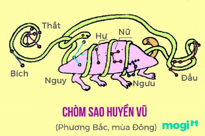 Chòm sao Huyền Vũ là một phần của hệ Nhị Thập Bát Tú.