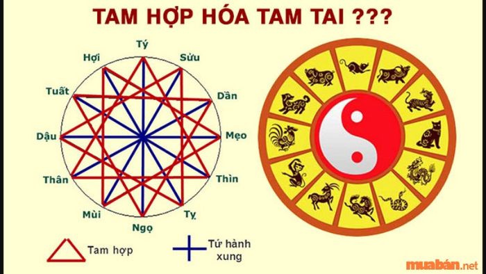 Gia chủ tuổi Nhâm Tý cần tránh gặp hạn Tam Tai khi xây nhà.