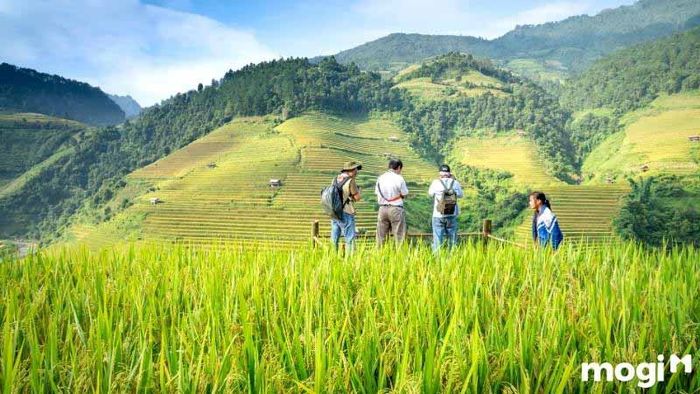Ngành nông nghiệp cũng rất phù hợp với Xử Nữ