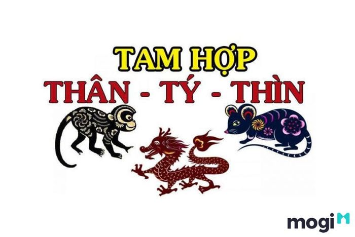 Những người thuộc nhóm tuổi Thân, Tý, Thìn sẽ gặp hạn tam tai trong các năm 2022.
