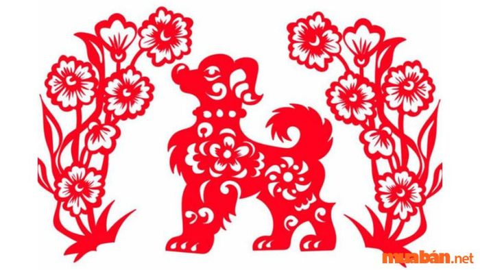 Một số đặc điểm về người tuổi Tuất