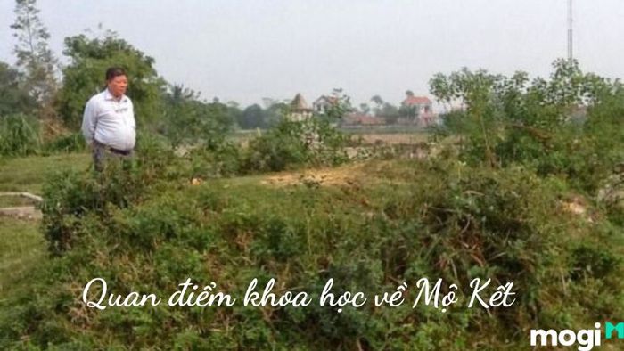 Mộ kết là gì theo khoa học?