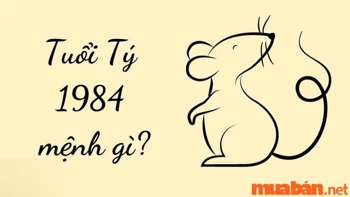 Mệnh của người sinh năm 1984 là gì? Khám phá tử vi tuổi Giáp Tý