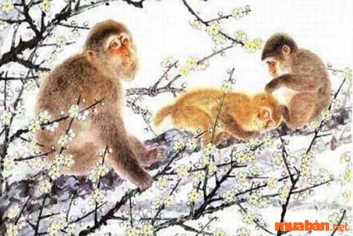 Nữ tuổi Thân 1980 có cuộc sống rất trọn vẹn và hạnh phúc