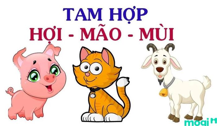 Tam hợp của người tuổi Mùi