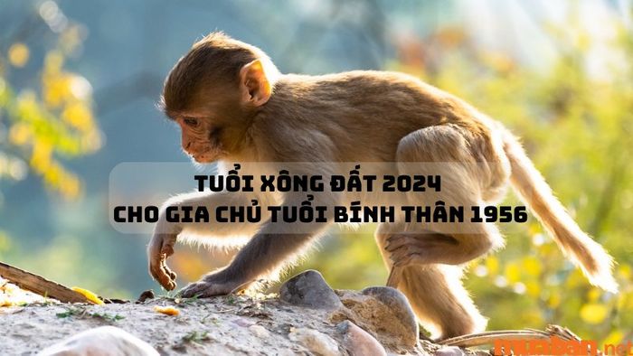 Việc chọn tuổi xông đất cho gia chủ tuổi Thân sẽ mang lại sự bình an, tài lộc và thịnh vượng cho cả gia đình.