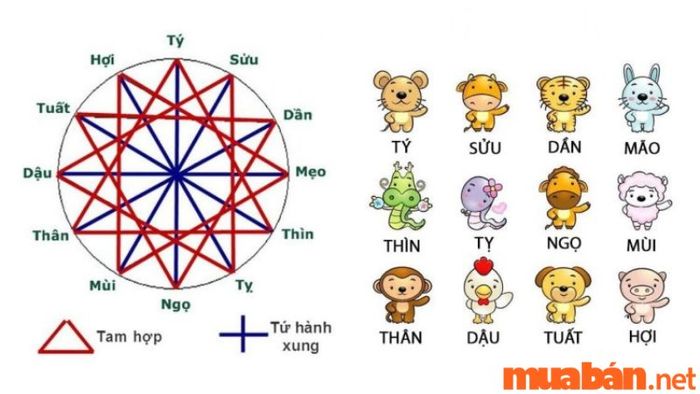 Tuổi Giáp Tý tương hợp với Can Kỷ.