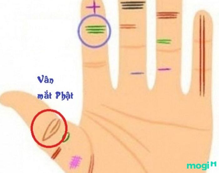 Vân mắt phượng trên tay phải