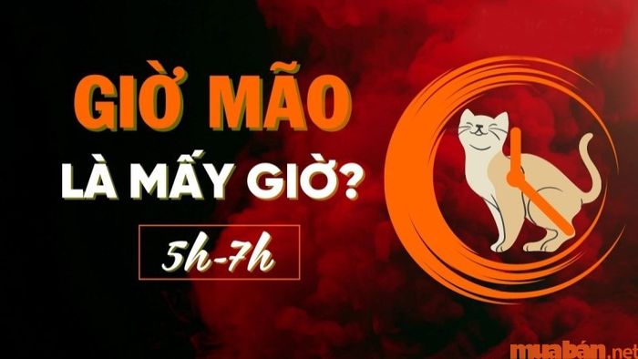 Giờ Mão là mấy giờ? Vận mệnh của người sinh vào giờ Mão sẽ thế nào?