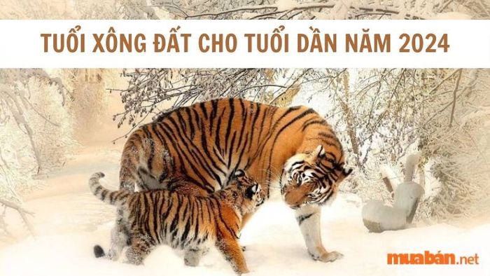 Lựa chọn tuổi xông đất phù hợp cho người tuổi Dần trong năm 2024