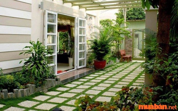 Tuổi Giáp Thân hợp với hướng nào?