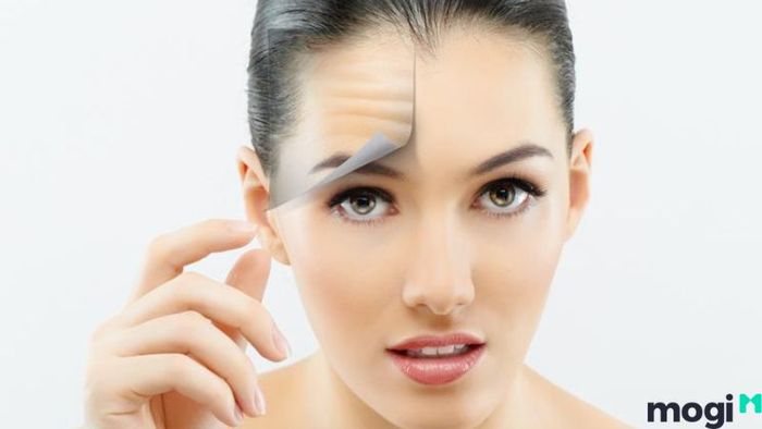 Khám phá vận mệnh của người trán dô