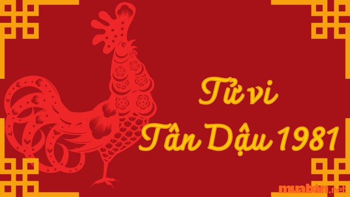 Tử vi tuổi Quý Dậu sinh năm 1993