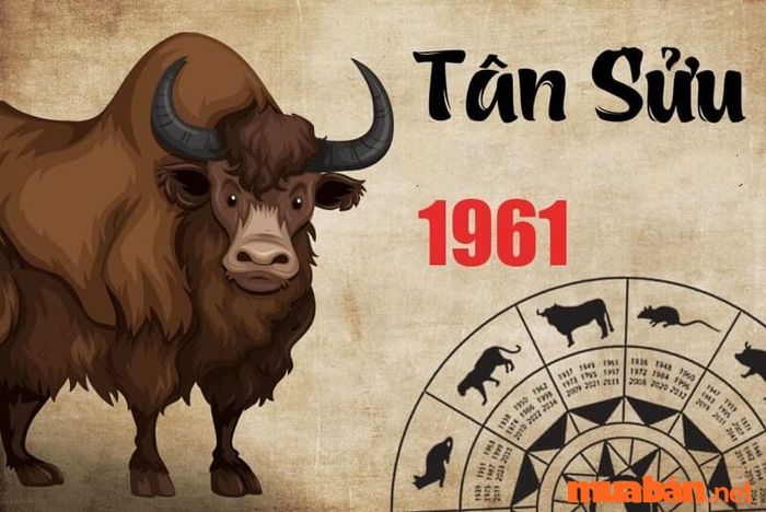 Màu sắc nào hợp với người tuổi Sửu?